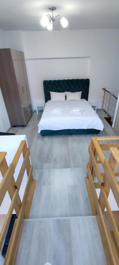 דירות Duplex Belle View Sinaia-Free Parking מראה חיצוני תמונה