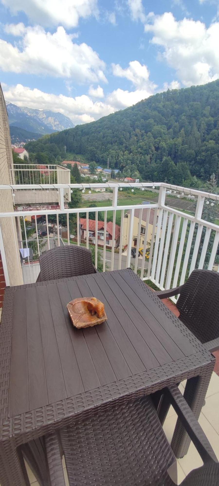 דירות Duplex Belle View Sinaia-Free Parking מראה חיצוני תמונה