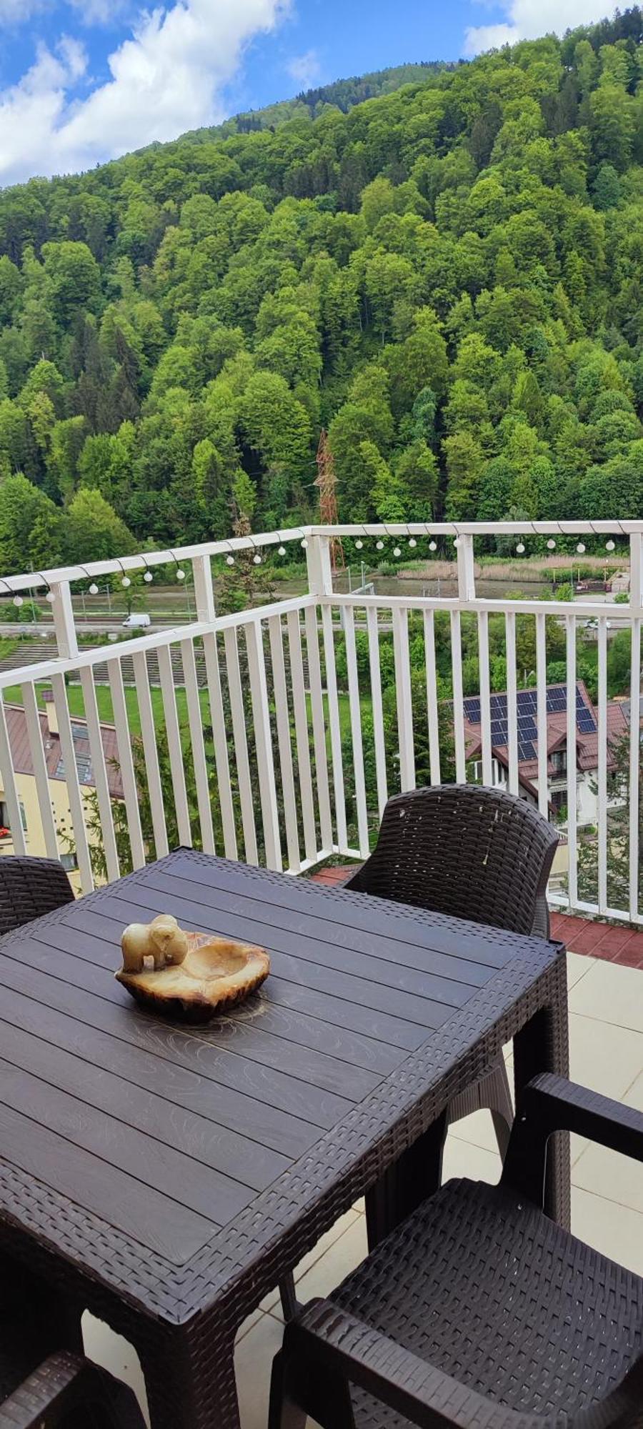 דירות Duplex Belle View Sinaia-Free Parking מראה חיצוני תמונה